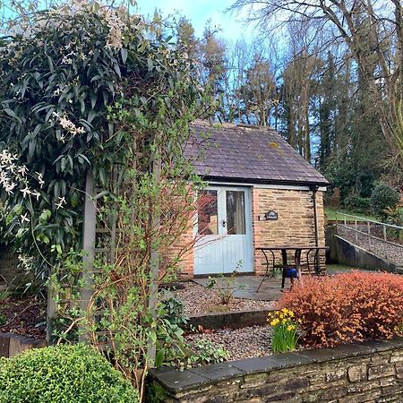 Maristow Cottages, Overlook Tamar Valley Dartmoor Плимът Екстериор снимка