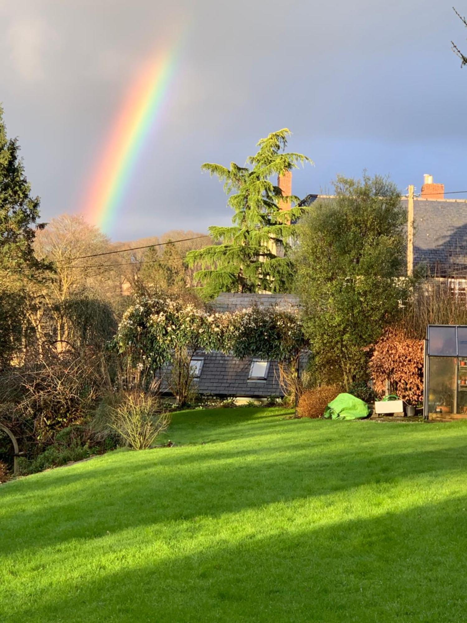 Maristow Cottages, Overlook Tamar Valley Dartmoor Плимът Екстериор снимка