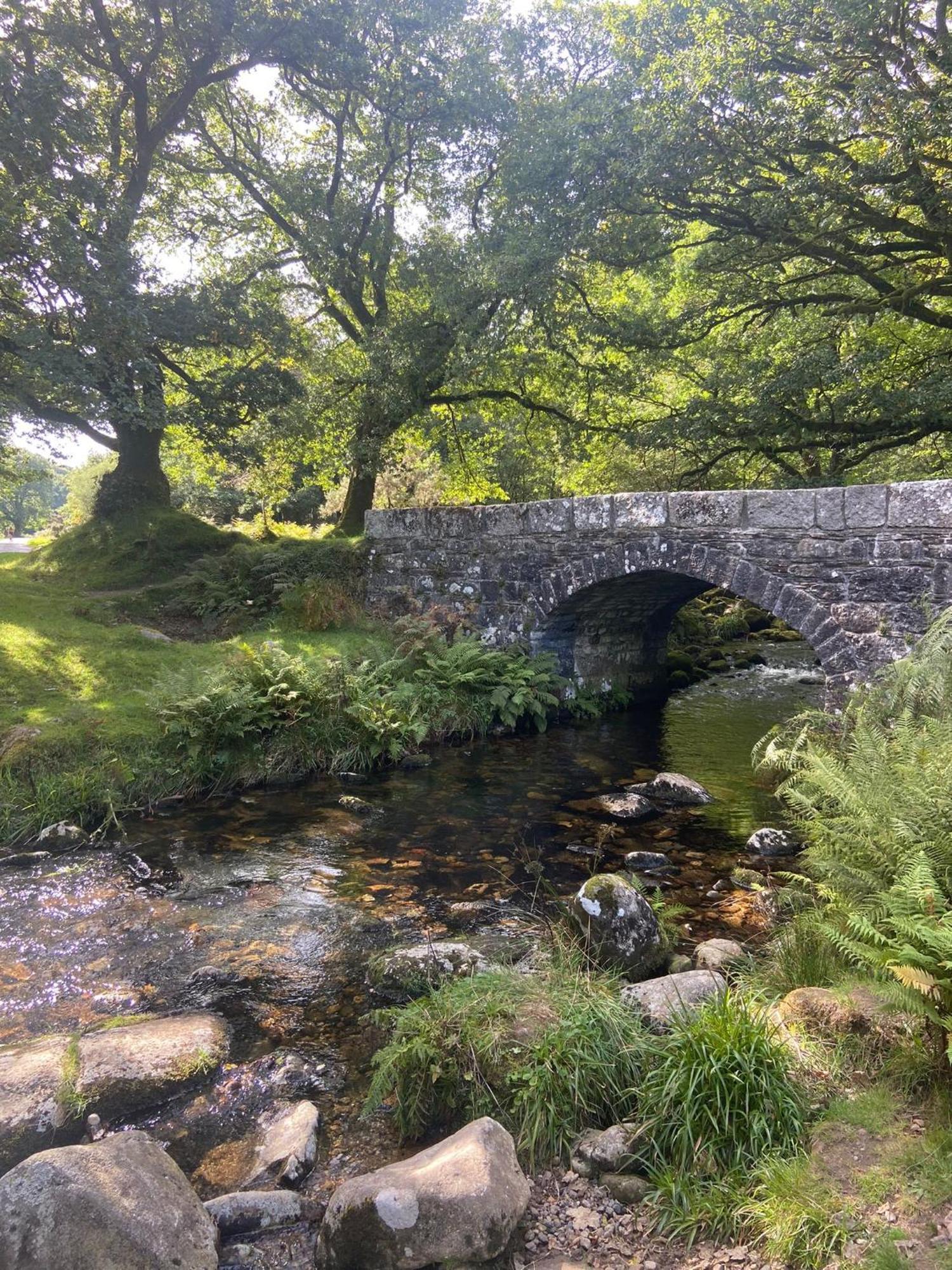 Maristow Cottages, Overlook Tamar Valley Dartmoor Плимът Екстериор снимка