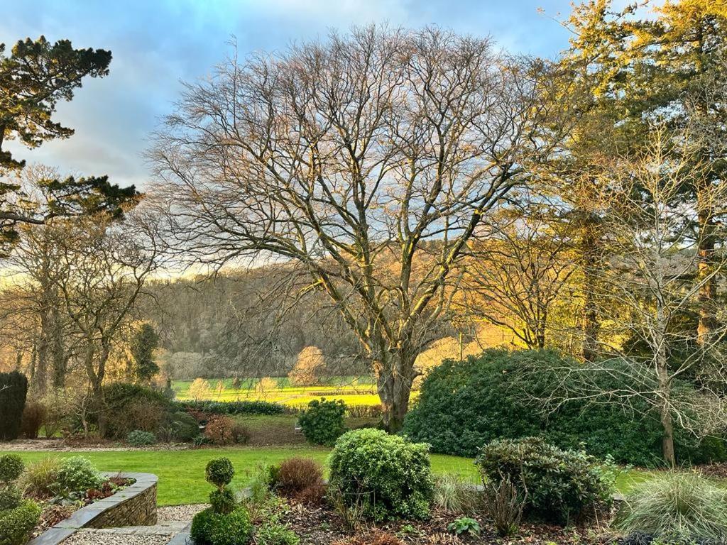 Maristow Cottages, Overlook Tamar Valley Dartmoor Плимът Екстериор снимка