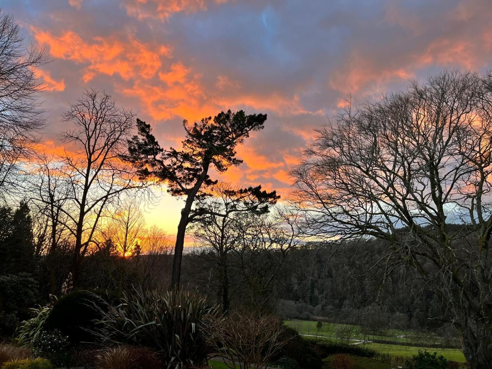 Maristow Cottages, Overlook Tamar Valley Dartmoor Плимът Екстериор снимка